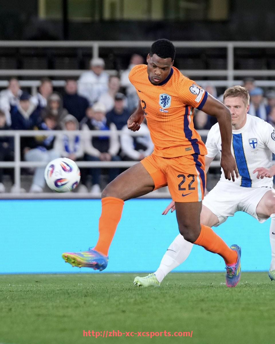 杏彩体育-拥有专业足球场的德甲球队汇总，球场设施对比赛有多重要？