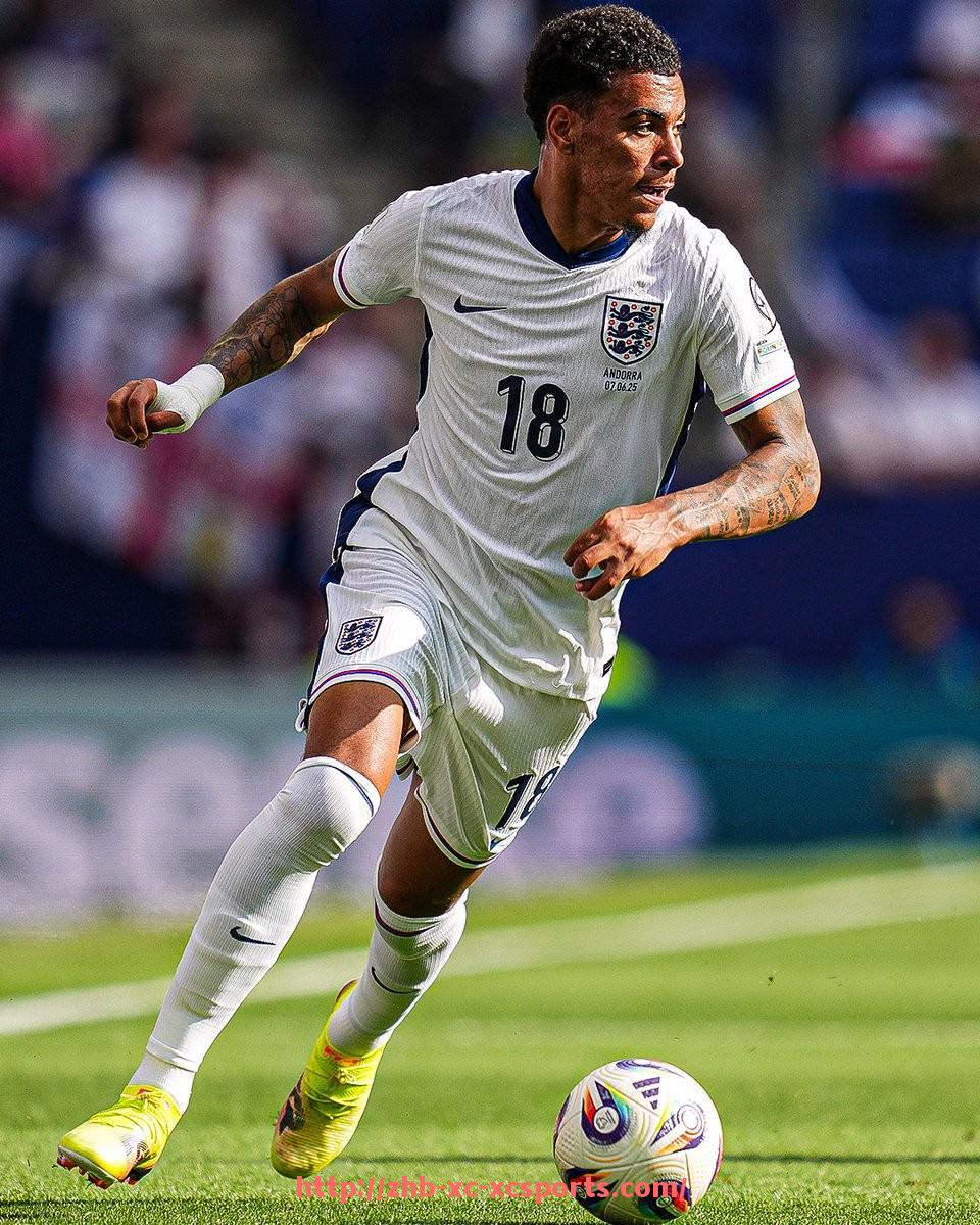 杏彩体育-世俱杯现场加油口号精选大全：热血沸腾的应援瞬间