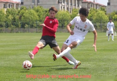 杏彩体育-英超各支球队的市值有多高？俱乐部估值排名