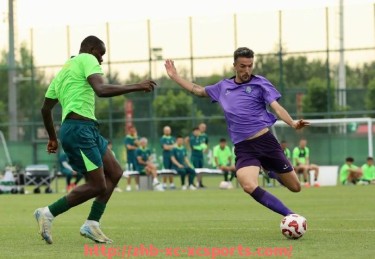 杏彩体育-德甲有“星星”标识的球队有哪些？星星数量代表含义解析