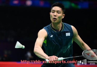 杏彩体育-德甲各球队别称由来及文化背景详尽介绍